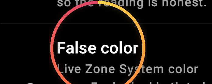 False color — annotated detail 1
